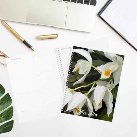 Coelogyne Mooreana Orchidee Bloesems Bloemen Planner