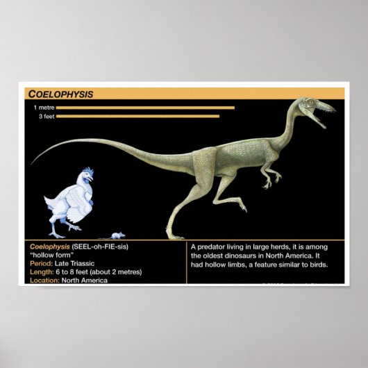Coelophysis - Biology Jurassic Poster (Voorkant)