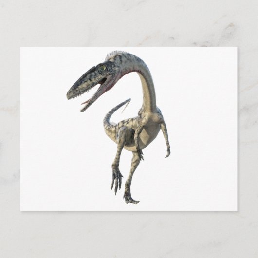 Coelophysis Dinosaur Runiing to the Front Briefkaart (Voorkant)