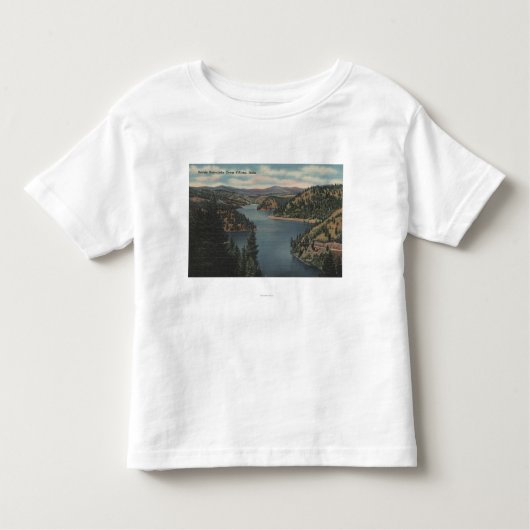 Coeur d'Alene, ID - Uitzicht Beauty Bay Kinder Shirts (Voorkant)