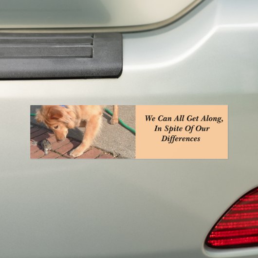 Coëxistentie Bumpersticker (Op auto)