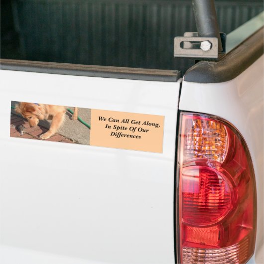 Coëxistentie Bumpersticker (Op Truck)