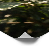 COFFEE - AROMA DELICIOSO POSTER (Hoek)