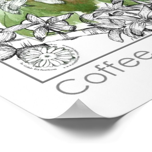 Coffee Bean Plant Branch Herb Illustratie Poster (Hoek)