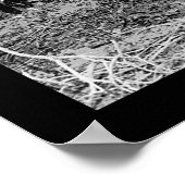 Coffee Berry Pickers in Brazilië 1911 Poster (Hoek)