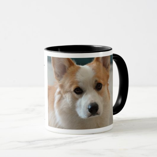 Coffee Corgi-Mok Mok (Voorkant rechts)