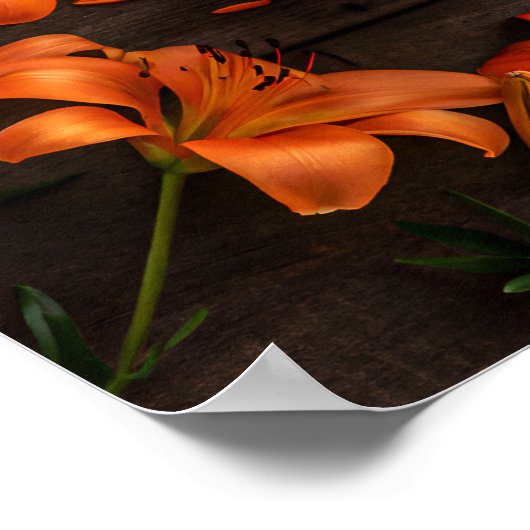 Coffee cup surrounded by vibrant orange flowers poster (Hoek)