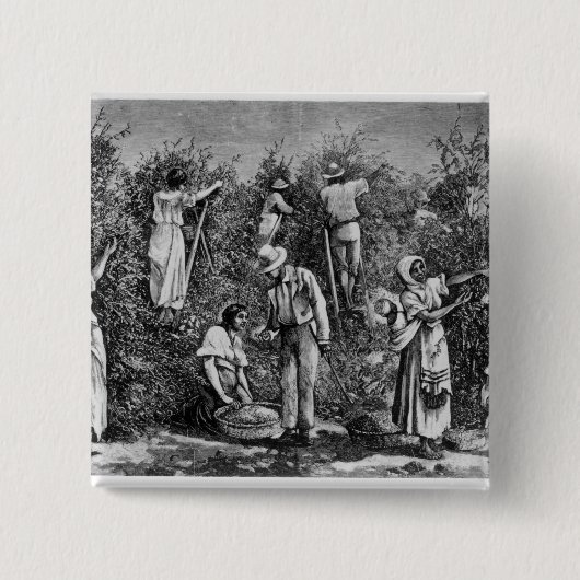 Coffee Harvest Vierkante Button 5,1 Cm (Voorkant)