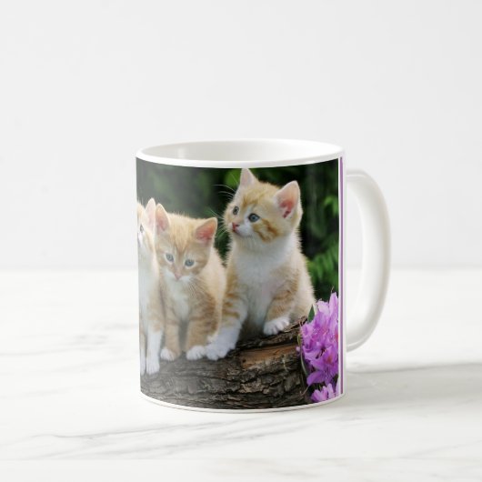 Coffee Mok-Kittens Koffiemok (Voorkant rechts)