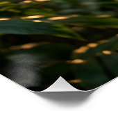 COFFEE QUEEN PERFECT POSTER (Hoek)