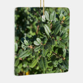 Coffeeberry Keramisch Ornament (Rechts)