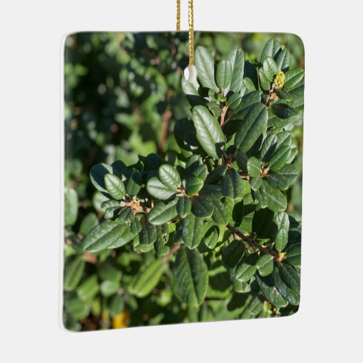 Coffeeberry Keramisch Ornament (Rechts)