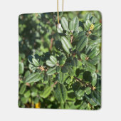 Coffeeberry Keramisch Ornament (Links)