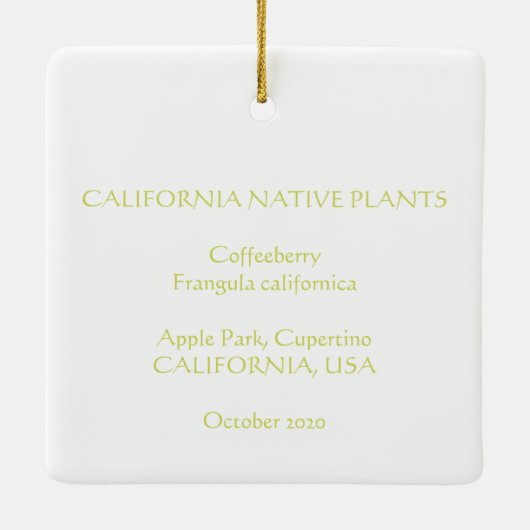 Coffeeberry Keramisch Ornament (Achterkant)