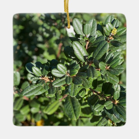 Coffeeberry Keramisch Ornament (Voorkant)