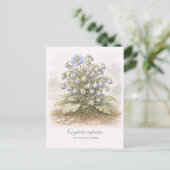 Cogitata infinita - De Eindeloze Denker Botanisch Briefkaart (Staand voorkant)