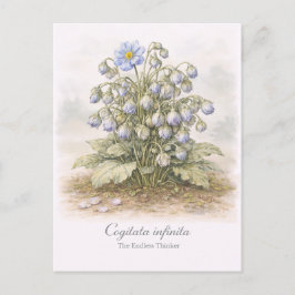 Cogitata infinita - De Eindeloze Denker Botanisch Briefkaart