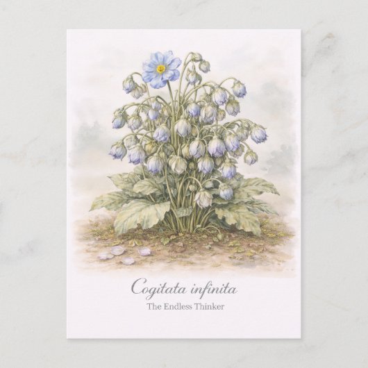 Cogitata infinita - De Eindeloze Denker Botanisch Briefkaart (Voorkant)