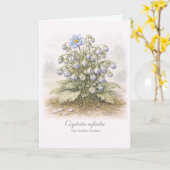 Cogitata infinita - De Eindeloze Denker Botanisch Kaart (Gele Bloem)