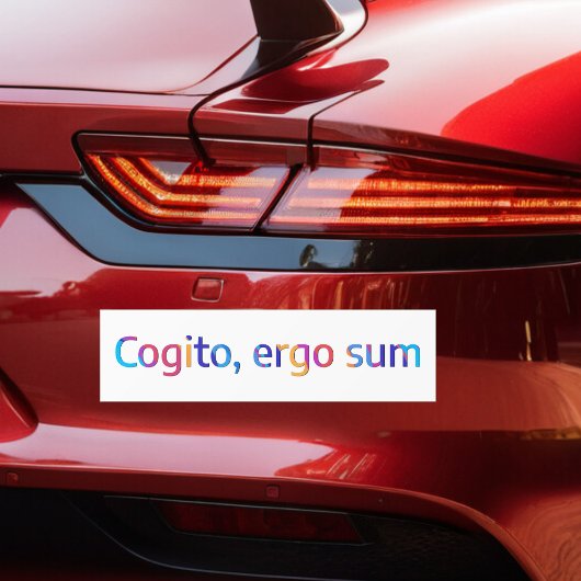 Cogito Ergo Sum Filosofie Quote Kleurrijk Bumpersticker
