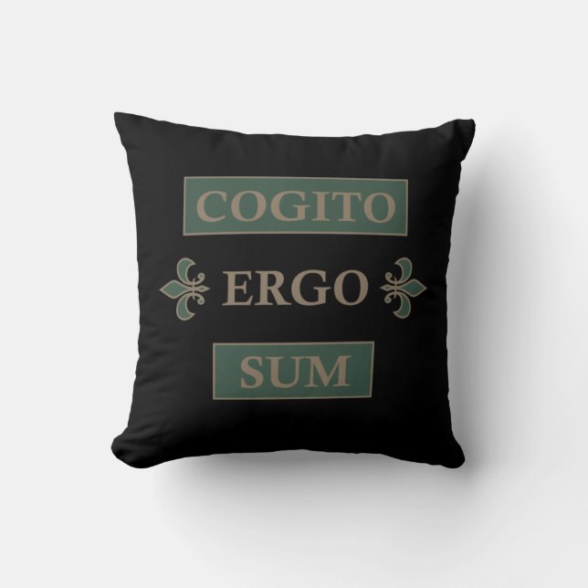 Cogito ergo sum kussen (Voorkant)