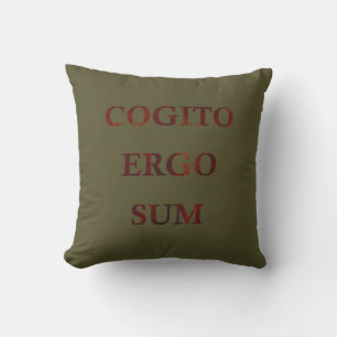 Cogito ergo sum kussen