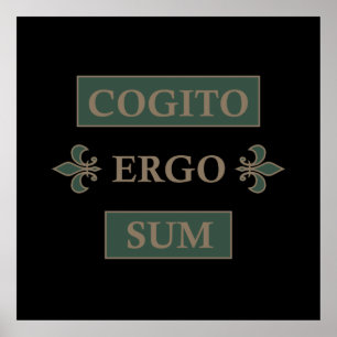 cogito ergo sum, latijns zin poster
