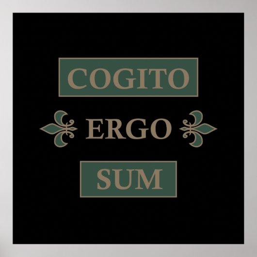 cogito ergo sum, latijns zin poster (Voorkant)