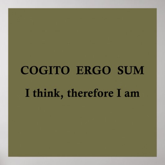 cogito ergo sum, Latijnse uitdrukking Poster (Voorkant)