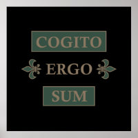 cogito ergo sum, Latijnse uitdrukking