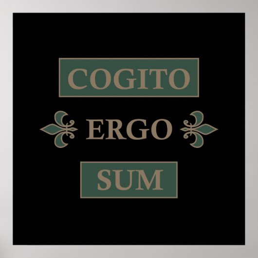 cogito ergo sum, Latijnse uitdrukking Poster (Voorkant)
