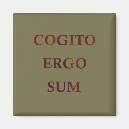 Cogito ergo sum magneet (Voorkant)