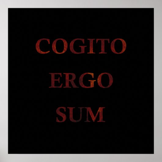Cogito ergo sum poster (Voorkant)