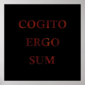 Cogito ergo sum poster (Voorkant)