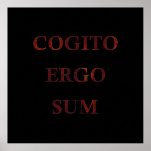Cogito ergo sum poster (Voorkant)