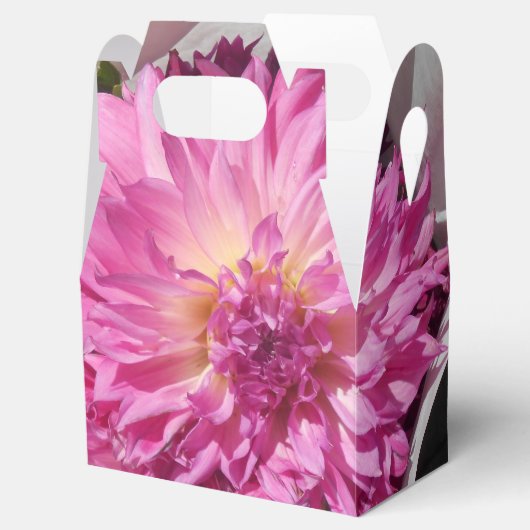 CogNIET Bedankdoosjes (Geopend)