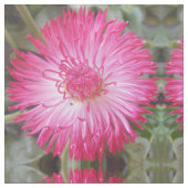 CogNIET Stof (Close Up)