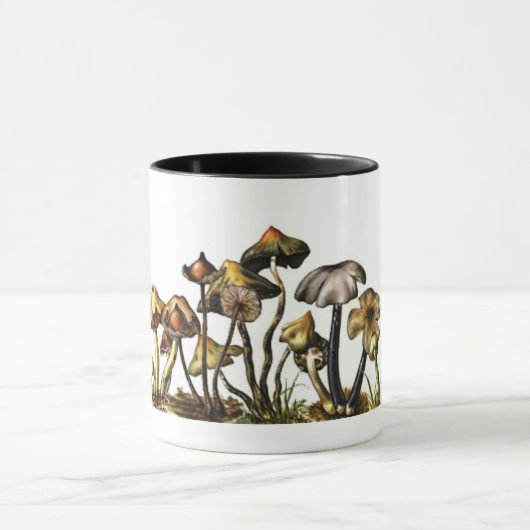 Cogumelos Mok (Midden)