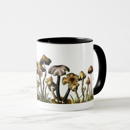 Cogumelos Mok (Voorkant rechts)