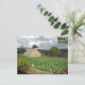 Cohiba Bahikes? Briefkaart (Staand voorkant)