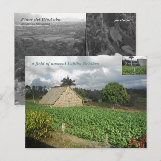 Cohiba Bahikes? Briefkaart (Voorkant / Achterkant)