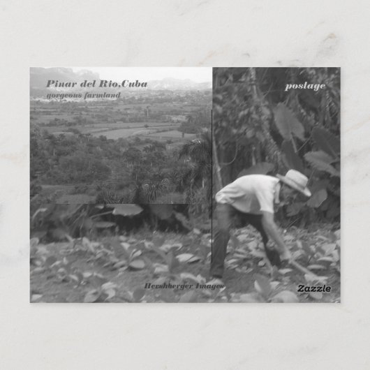 Cohiba Bahikes? Briefkaart (Achterkant)