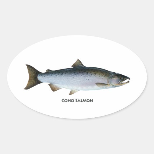 Coho Salmon Ovale Sticker (Voorkant)
