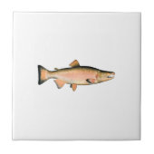 Coho - Silver Salmon (paaifase) Tegeltje (Voorkant)