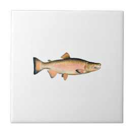 Coho - Silver Salmon (paaifase) Tegeltje
