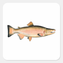 Coho - Silver Salmon (paaifase) Vierkante Sticker