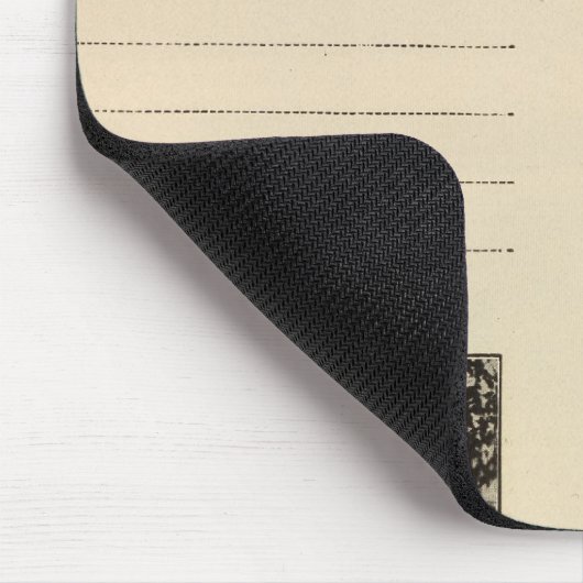 Cohoes, NY Muismat (Hoek)