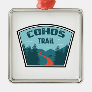 Cohos Trail New Hampshire Metalen Ornament