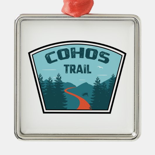 Cohos Trail New Hampshire Metalen Ornament (Voorkant)