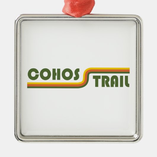 Cohos Trail New Hampshire Metalen Ornament (Voorkant)